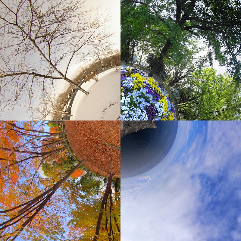 Four seasons in Japan, by Masakazu Matsumoto, CC-BY, Attribution 2.0 Generic (CC BY 2.0)